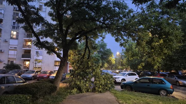 Jak vjetar ruši stabla u Zagrebu