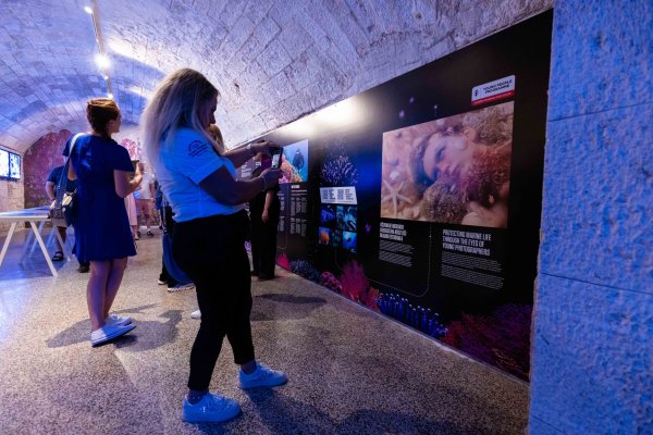 Info zid u prostoru izložbe World Unseen informira posjetitelje o važnosti koralja