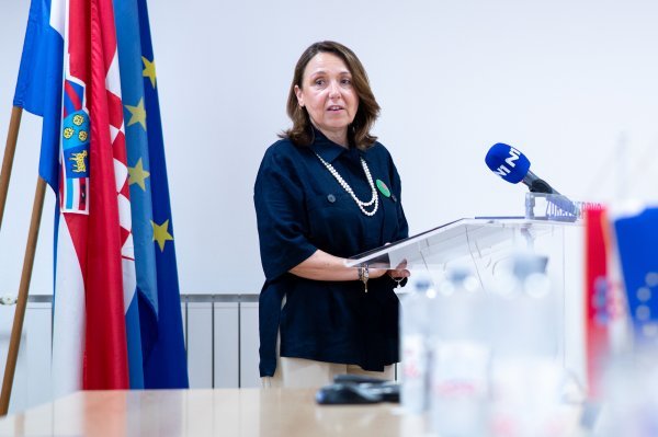 Irena Hrstić je pojasnila petogodišnji plan specijalizacije
