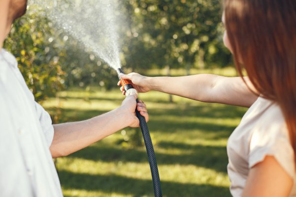 Savjetuje da se biljke nikako ne zalijevaju u najtoplijem dijelu dana
