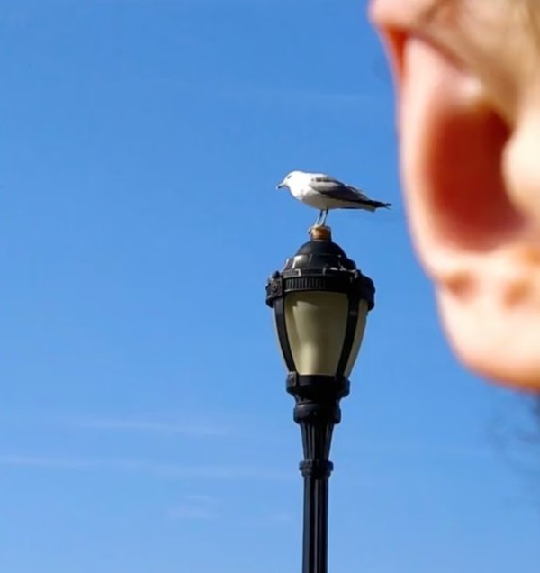 Fotografija najgore fotografkinje
