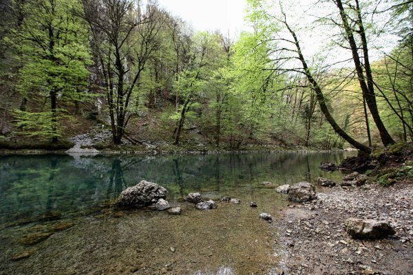 Polovica hrvatskih građana ne zna da su šume rješenje za klimatske promjene