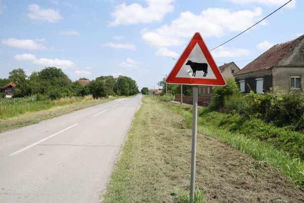 Ilustrativna fotografija