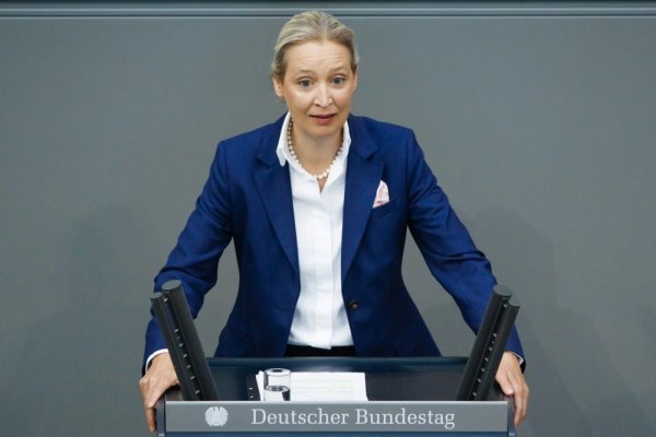 Alice Weidel, AFD