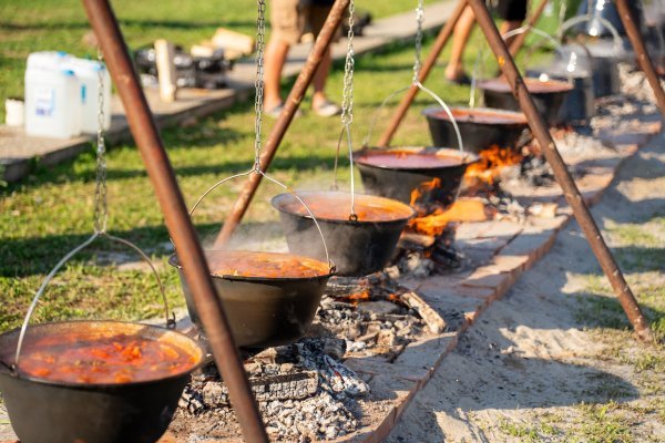 Dunav fest vraća Vukovar na rijeku: tri dana bogatog programa, vrhunac Fišijada