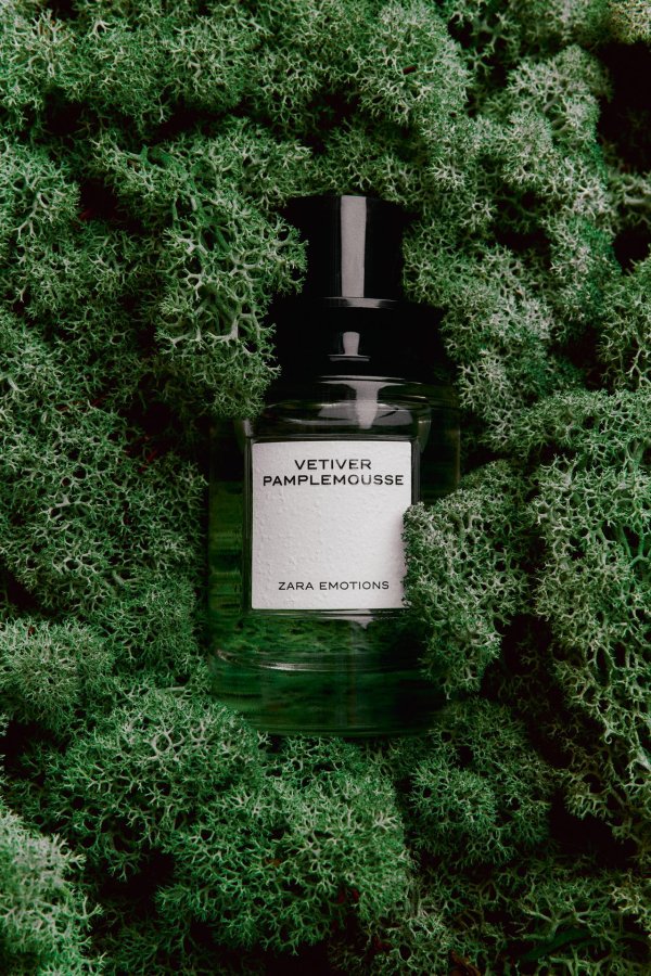Zara Vetiver Pamplemousse