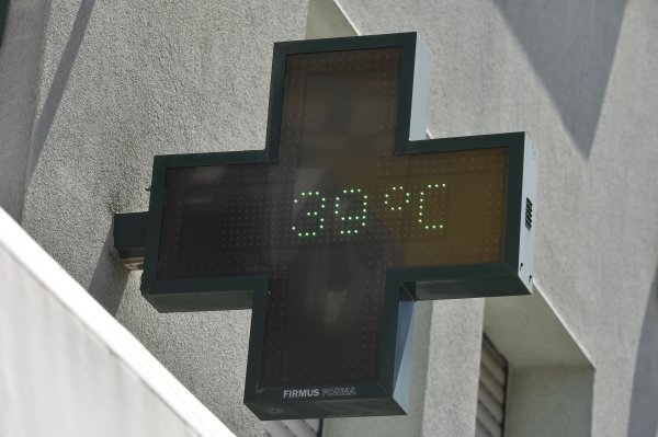 tportal