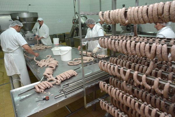 Pogon Mesne industrije Danica