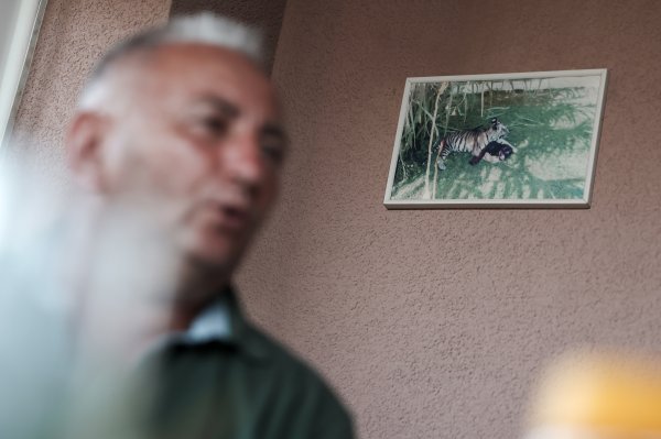 Mirko Milec i tigar Koma