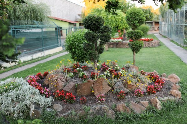 Ukusno uređeni vrt Milecovih i njihovih 'podstanara'