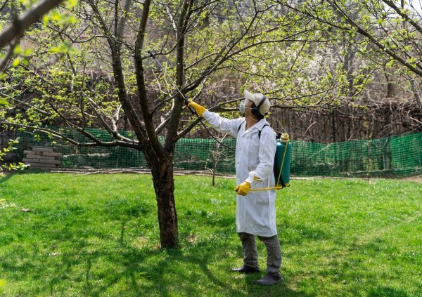 Zaprašivanje pesticidima