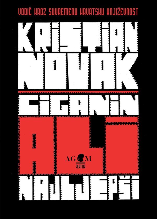 Kičmu knjige čini trinaest eseja koji 'Ciganina' seciraju iz najrazličitijih perspektiva