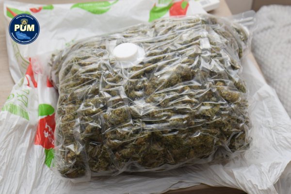 Droga pronađena kod Danijela Trninića