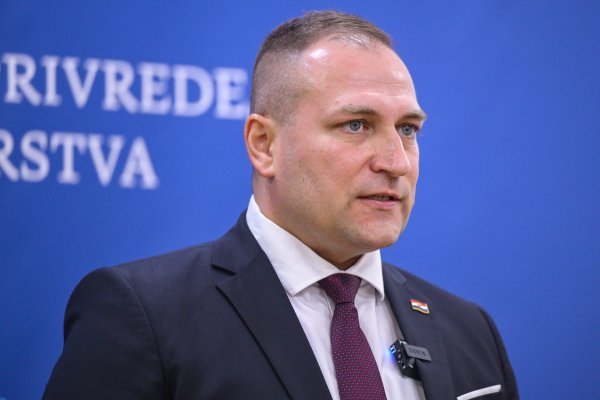 Vlajčić: Svinje bez ušnih markica su kao automobili s prekucanom šasijom