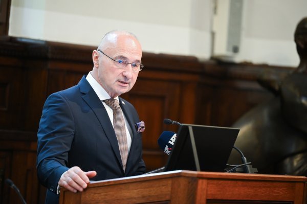 Gordan Grlić Radman