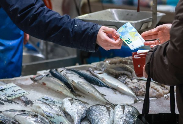 Širi se panika, raste zabrinutost: Ukida li zbilja Europa gotovinu?