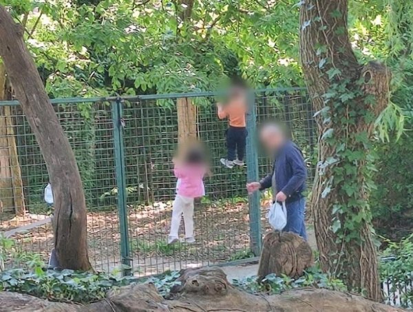 Pazite što ova obitelj radi u Zoološkom vrtu: 'Pravila su tu da se poštuju'