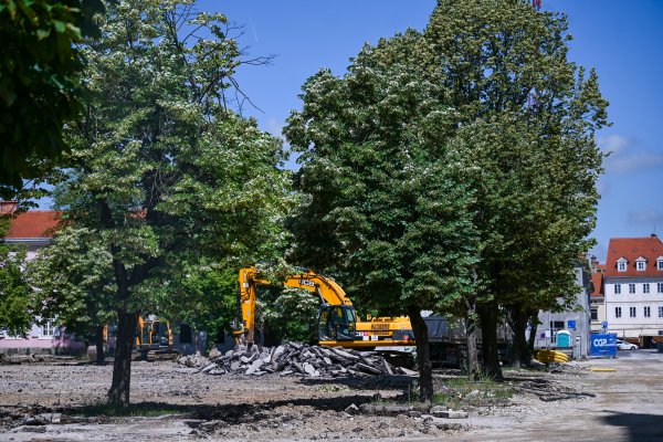 Građani protiv uklanjanja lipa u Karlovcu: 'To je vrhunac komunalne katastrofe'