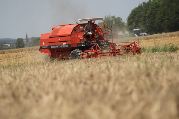 Podravka Agri završila žetvu ječma s rekordnim prinosima