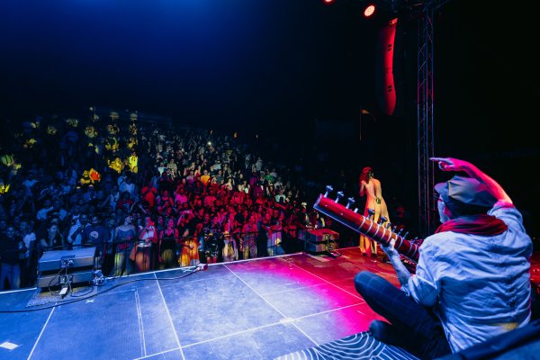 Thievery Corporation