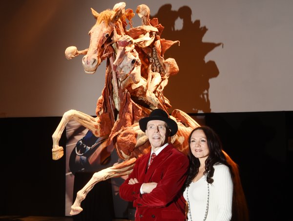 Gunther von Hagens, Body Worlds