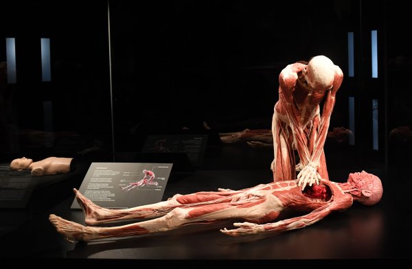 Body Worlds