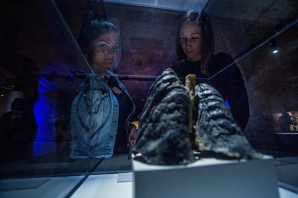 Body Worlds