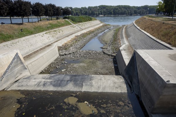 Nizak vodostaj Vuke na ušću u Dunav
