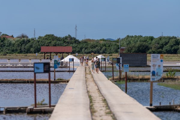 Visoke vrućine, u solani Nin trljaju ruke: Očekuju rekordne prihode,  turistima daju da rade