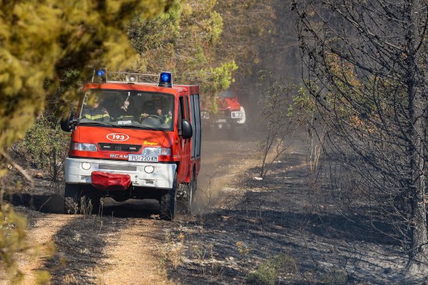 Lokaliziran požar kod Katuna Gračaškog u Istri