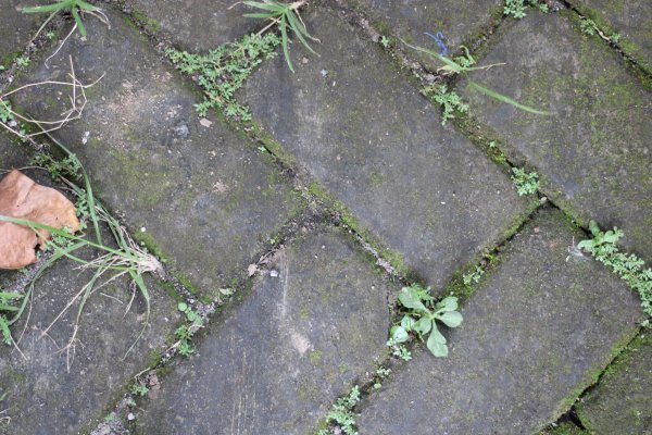 Zaboravite na kemikalije: Ovo je najjeftiniji trik za uklanjanje tvrdoglavog korova iz vašeg dvorišta