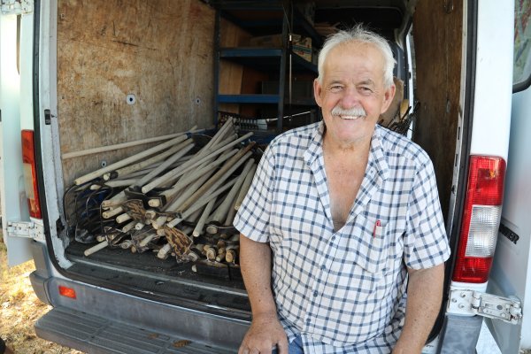 Nedo Nogalo