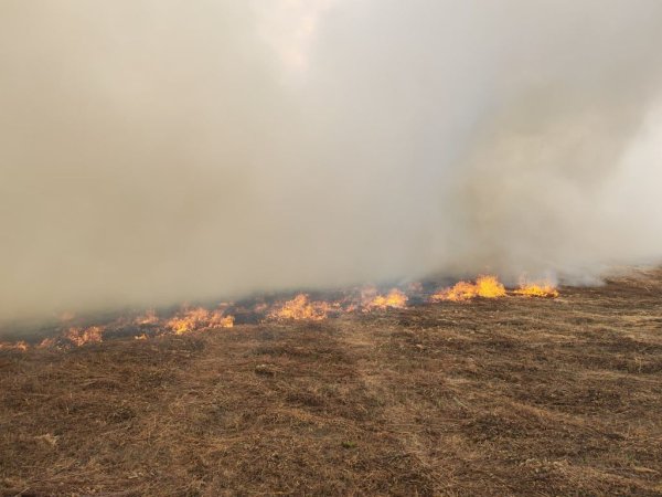 FOTO Gori kod Lučkog: Gusta dimna zavjesa nadvila se nad autocestom