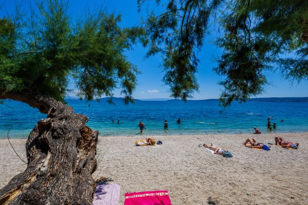 Napala ju je u moru i nije puštala: 'Noga joj je napuhana kao balon'