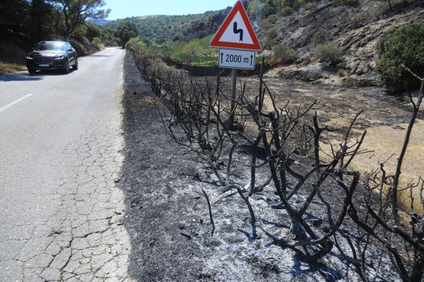 Požar kod Škrljeva pod nadzorom, vatrogasci ostaju na terenu do jutra