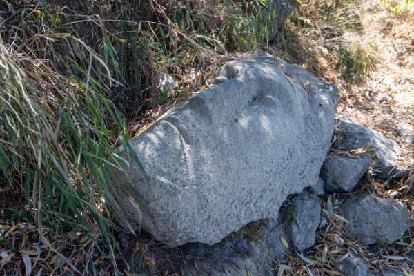 FOTO 'Izronio' iz Save i privlači poglede: Težak je stotine kilograma, a rijetki znaju njegovu priču