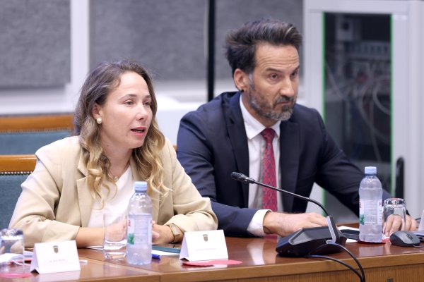 Marija Selak Raspudić, Hrvoje Zekanović