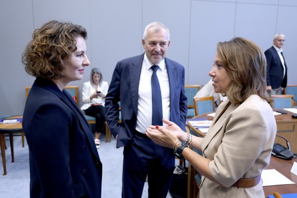 Irena Petrijevčanin, Krunoslav Capak, Irena Hrstić