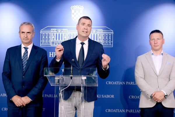 Dario Zurovec, Mislav Herman i Krunoslav Katičić