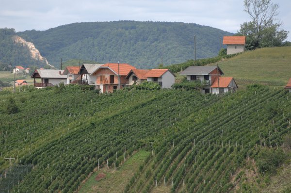Zagorje - klet