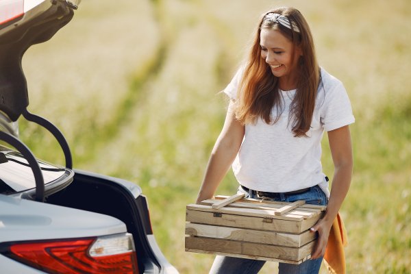 Ekstremne vrućine u automobilima značajno ubrzavaju kvarenje hrane