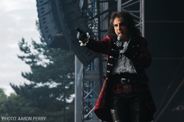 Hollywood Vampires