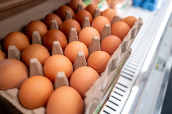 Za sve su kriva jaja: Više od 300 ljudi u Belgiji zarazilo se salmonelom