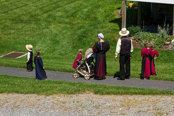 Amiške i anabaptističke obitelji u prosjeku imaju petero ili više djece