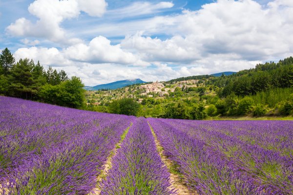 Provansa, Francuska