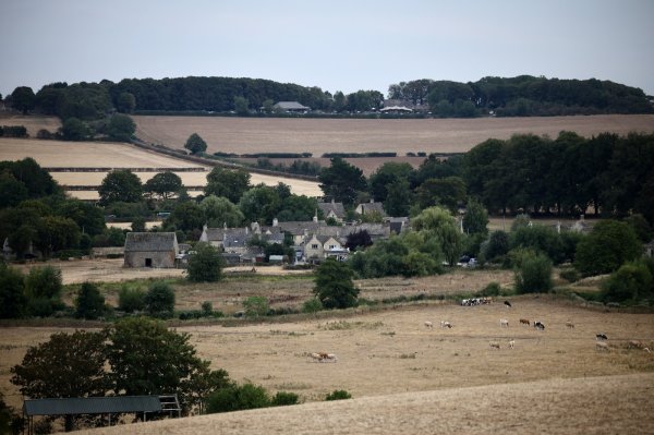 Cotswolds