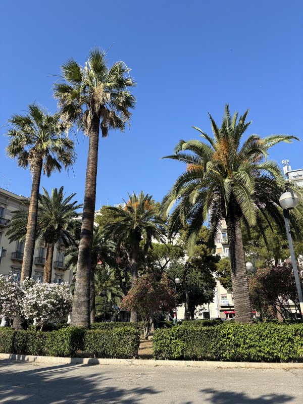 Bari