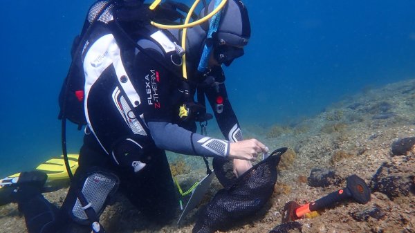 Ruđerovci s roniocima pratili stanje morskih šuma i makroalgi