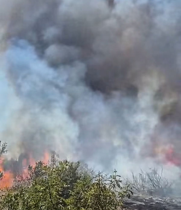 Sve više prirodnih katastrofa, sve skuplje osiguranje: Pazite koliko koštaju klimatske promjene