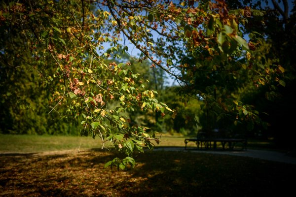Park Maksimir